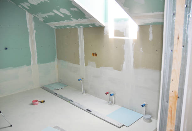 Best Airborne Mold Testing  in Zionsville, IN