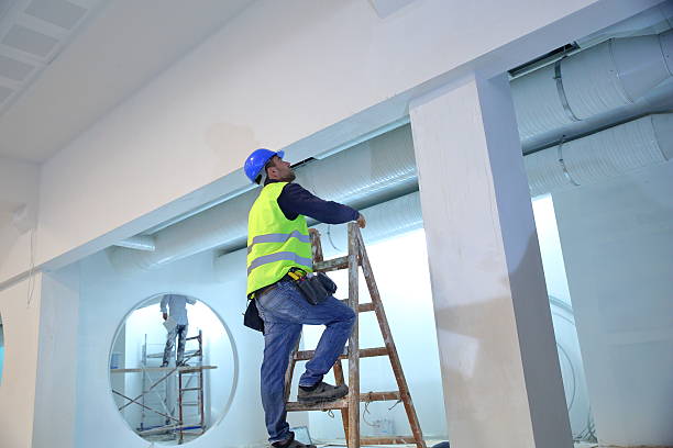 Best Asbestos and Lead Testing During Mold Inspection  in Zionsville, IN